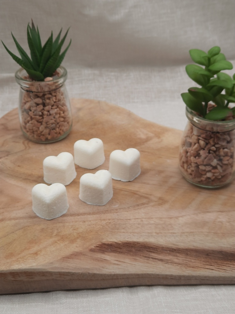 Fondants Tahiti pour brule parfum 5pcs